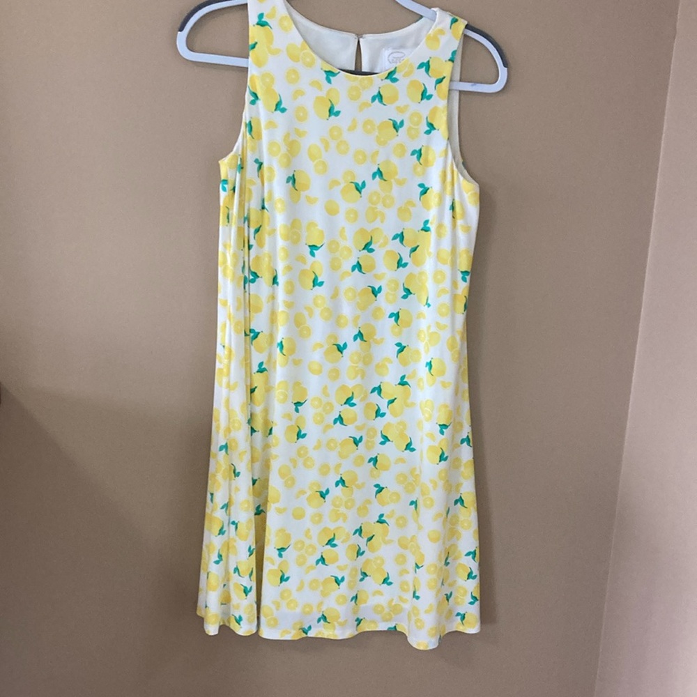 Pappagallo Gwen Live Gives You Lemons Swing Dress